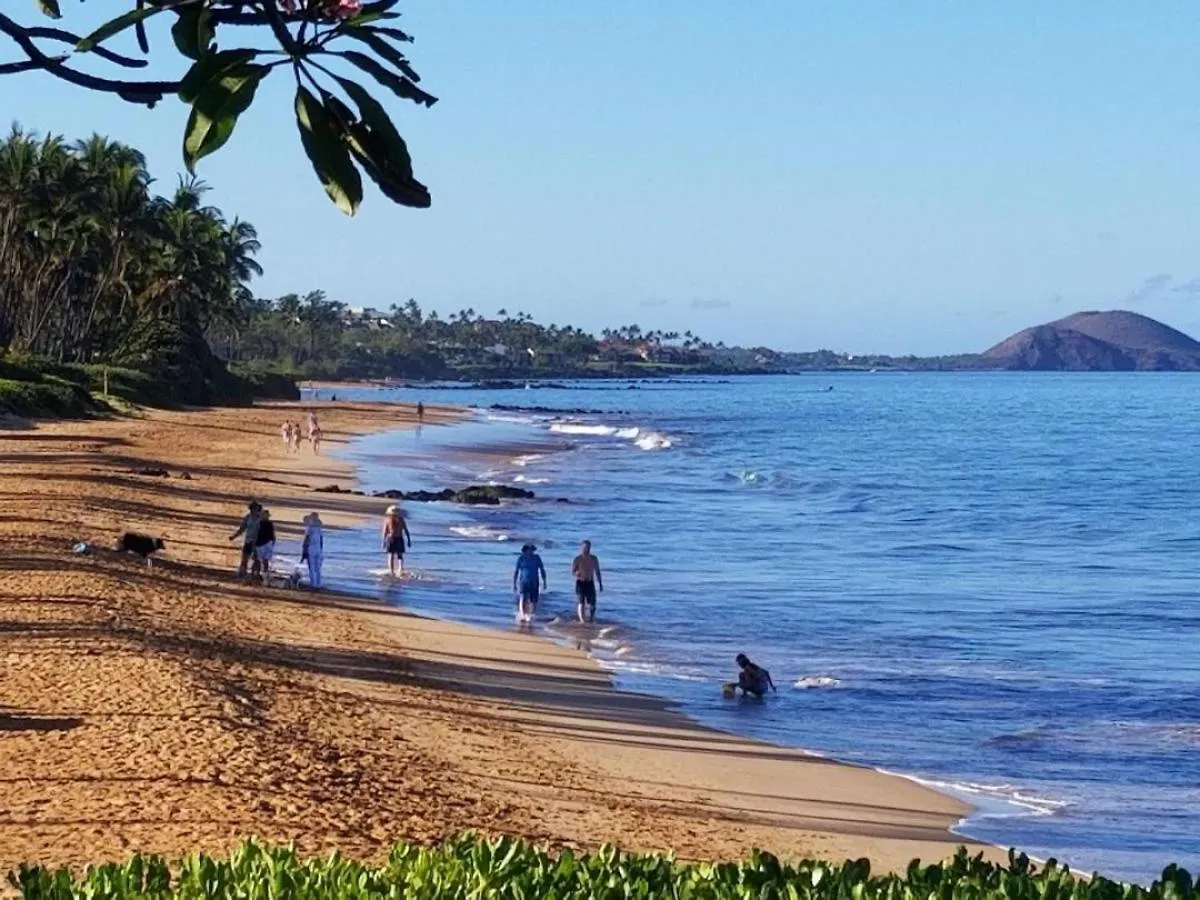 Casa vacanze Villa Hale Kamaole 218 Wailea  Stati Uniti